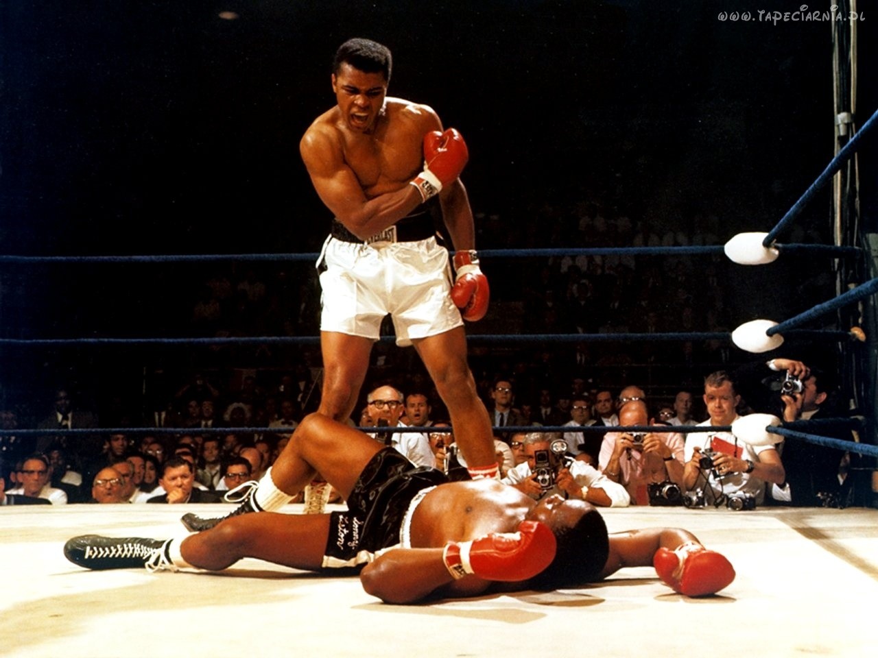 10 faits marquants à savoir au sujet de Muhammad Ali