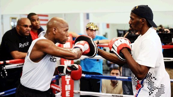 Mayweather TBE pads
