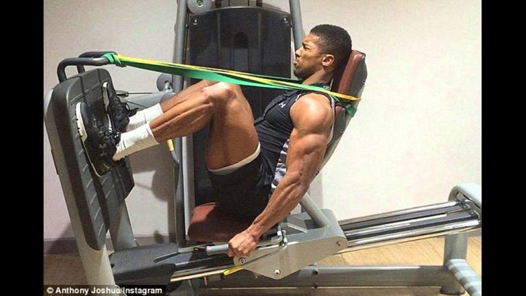 Boxe et musculation – Quels muscles cibler à l’entraînement ?