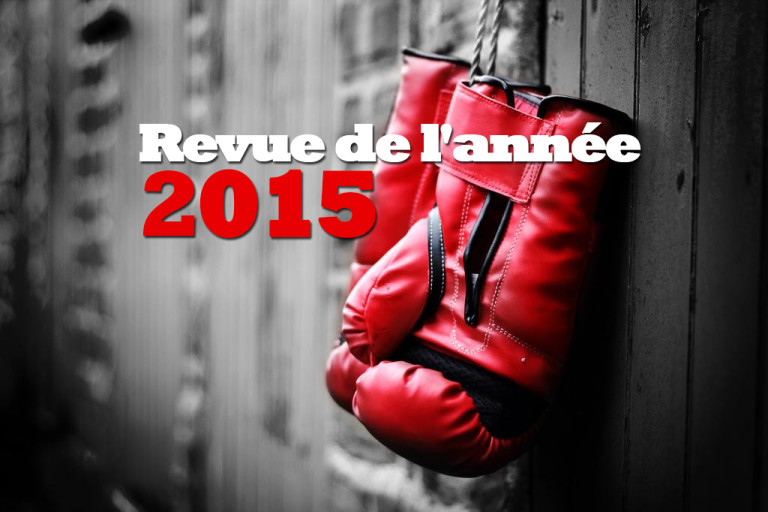 Revue de l’année 2015