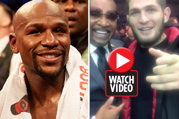 Khabib Nurmagomedov défie Mayweather : « Dans la jungle, Il n’y a qu’un seul roi ! »
