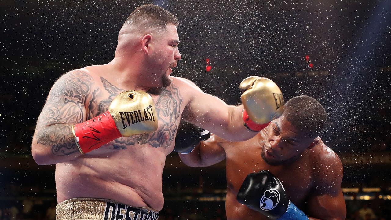 Andy Ruiz défie Joshua : « Tu peux m’éclater à Tijuana ? Prouve-le ! »