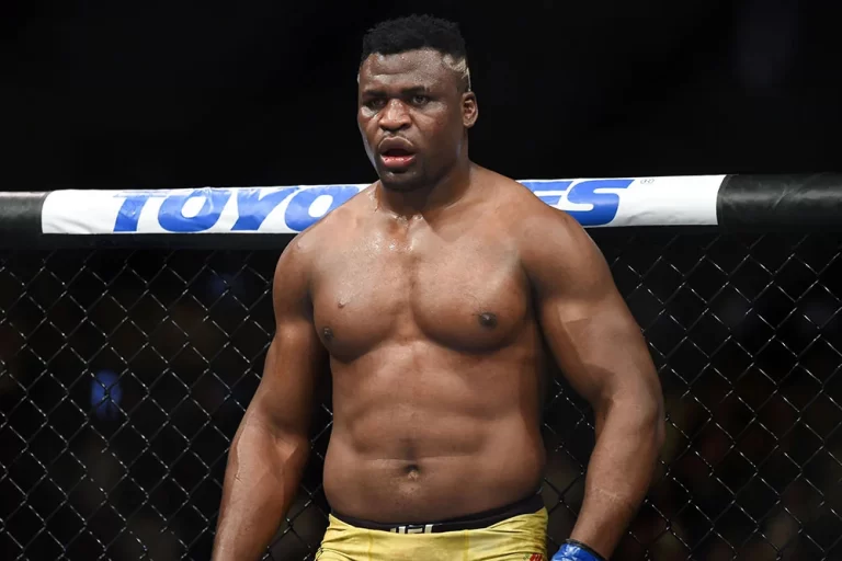 Quels sont les favoris en UFC pour 2023 ?
